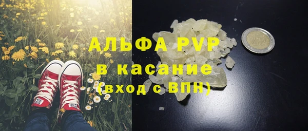 PSILOCYBIN Баксан