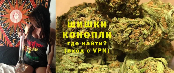 PSILOCYBIN Баксан