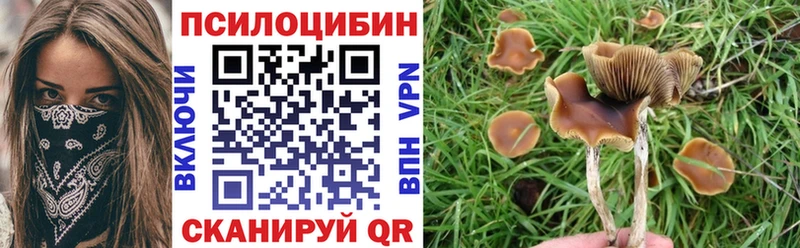 купить  сайты  Вязьма  Псилоцибиновые грибы MAGIC MUSHROOMS 